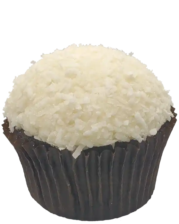 Chocolate Coconut Cupcake Toronto Cupcakes Chocolate Coconut cupcake with vanilla frosting and flaked coconut