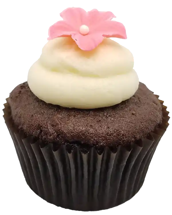 Chocolate Vanilla Cupcake Toronto Cupcakes Chocolate Vanilla cupcake with vanilla cream cheese frosting and a chocolate flower
