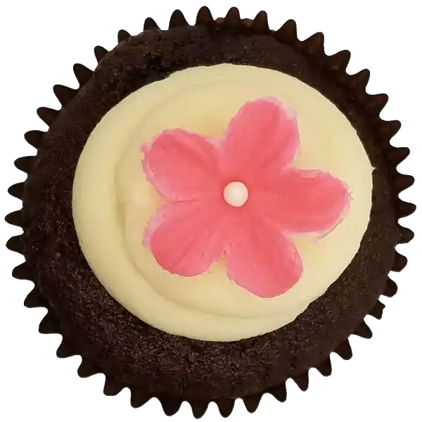 Chocolate Vanilla Top View Top view of Chocolate Vanilla cupcake
