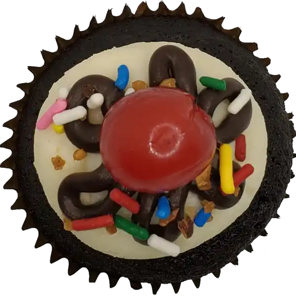 Hot Fudge Sundae top view Top view of Hot Fudge Sundae cupcake