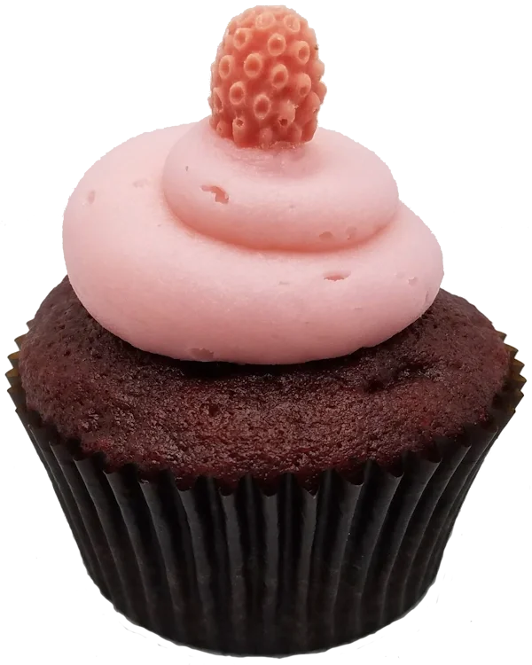Red Velvet Raspberry Cupcake Toronto Cupcakes Red Velvet Raspberry cupcake with raspberry frosting and red chocolate raspberry