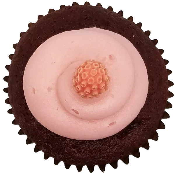 Red Velvet Raspberry Top View Top view of Red Velvet Raspberry cupcake
