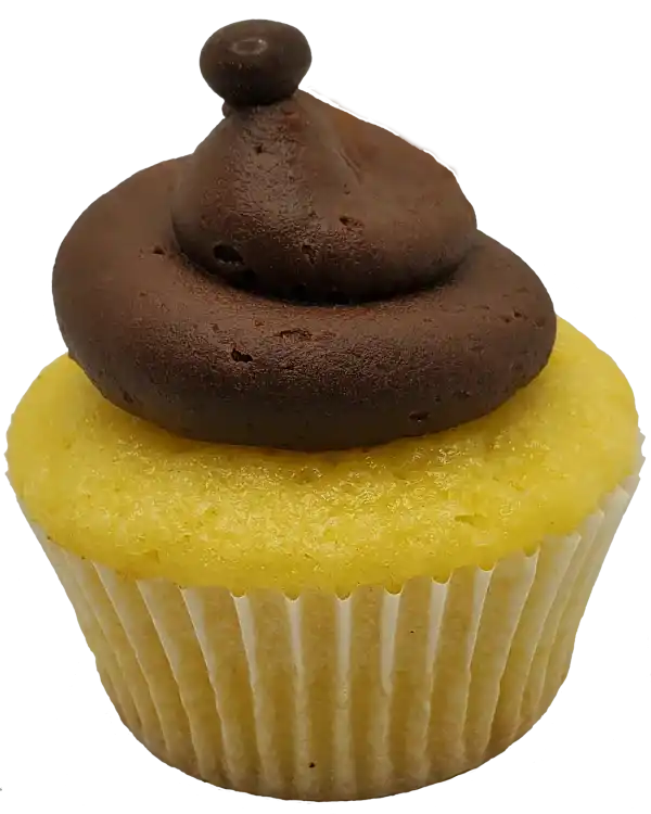 Vanilla Chocolate Cupcake Toronto Cupcakes Vanilla Chocolate cupcake with chocolate frosting and Callebaut chocolate ball