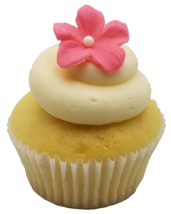 Vanilla Vanilla Cupcake Toronto Cupcakes Vanilla Vanilla cupcake with vanilla frosting and fondant flower