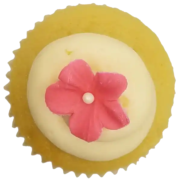 Vanilla Vanilla top view Top view of Vanilla Vanilla cupcake